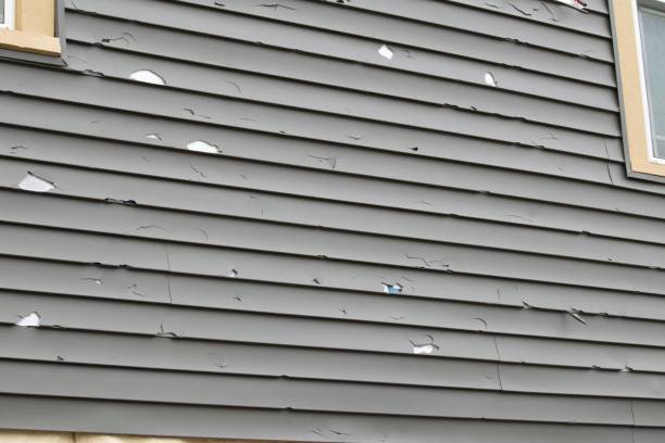 How To Choose The Right Materials for Your Siding Installation in 'Rock Springs, NM